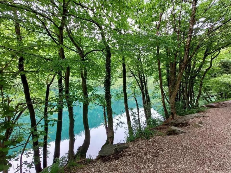 Apartmán Casa Bosco Levico Terme Exteriér fotografie