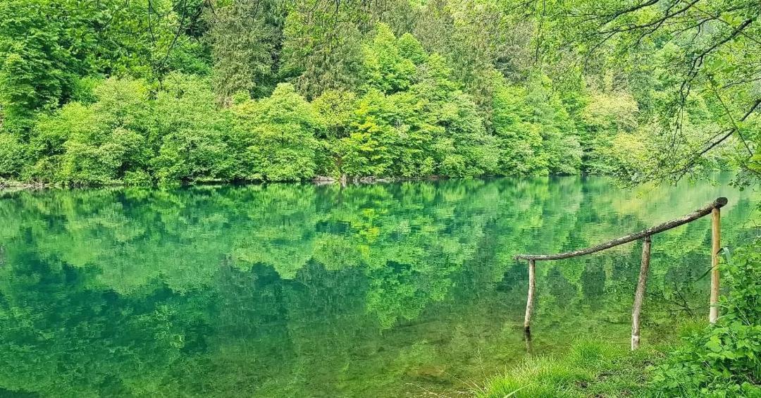 Apartmán Casa Bosco Levico Terme Exteriér fotografie